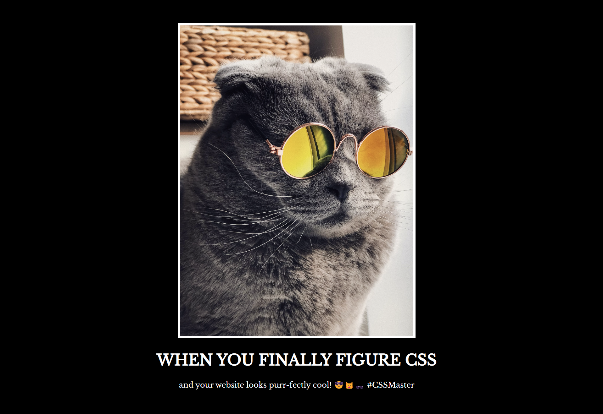 Meme Project